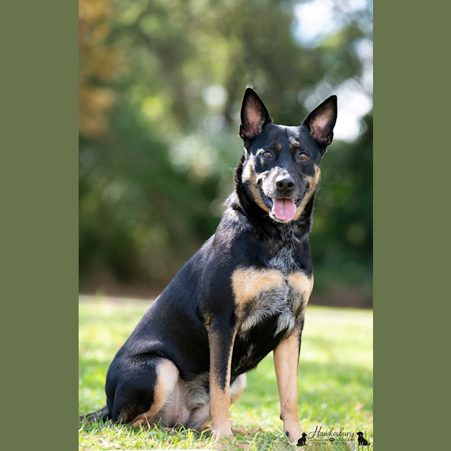 Photo of Betsy