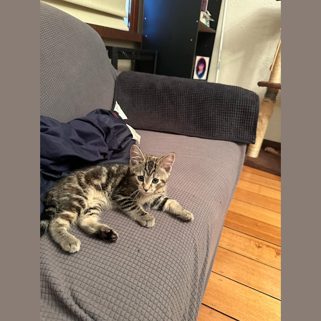 Photo of Poppy