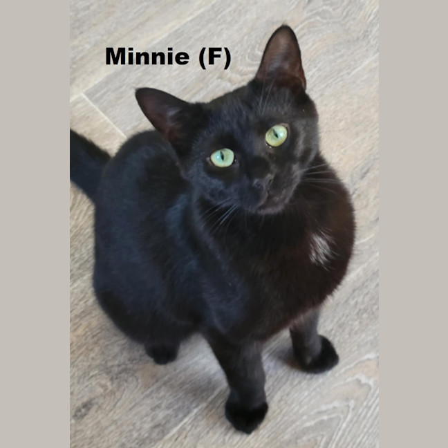 Photo of Minnie