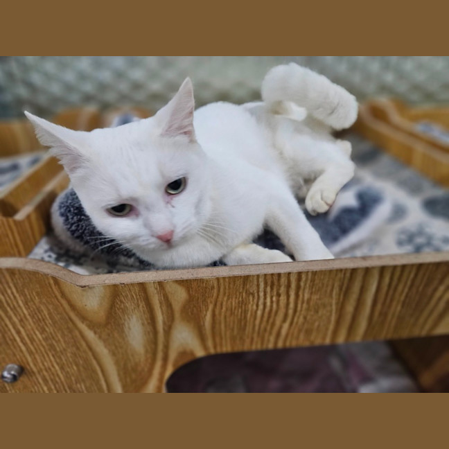 Photo of Rinnie