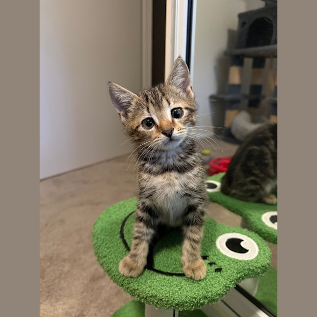 Photo of Tim Tam