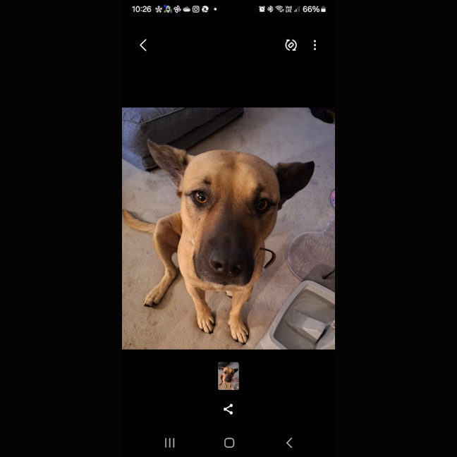 Photo of Turbo 