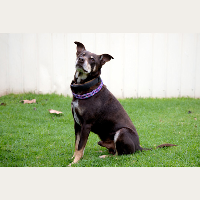 Photo of Monty
