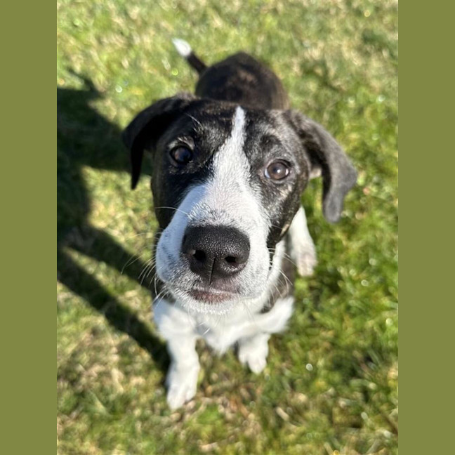 Photo of Lucy