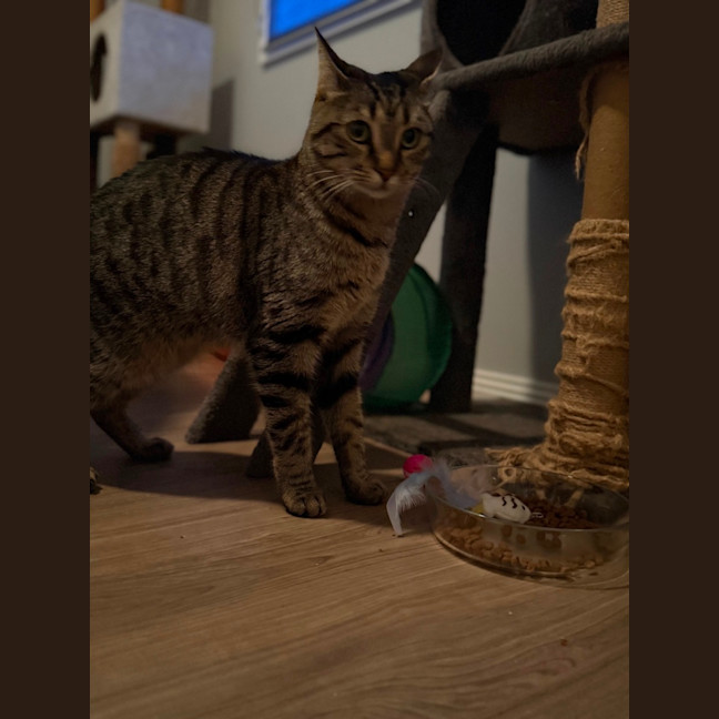 Photo of Charlie 