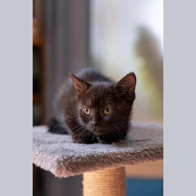 Photo of Charlotte