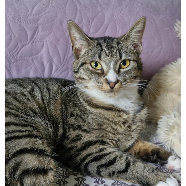 Photo of Abby