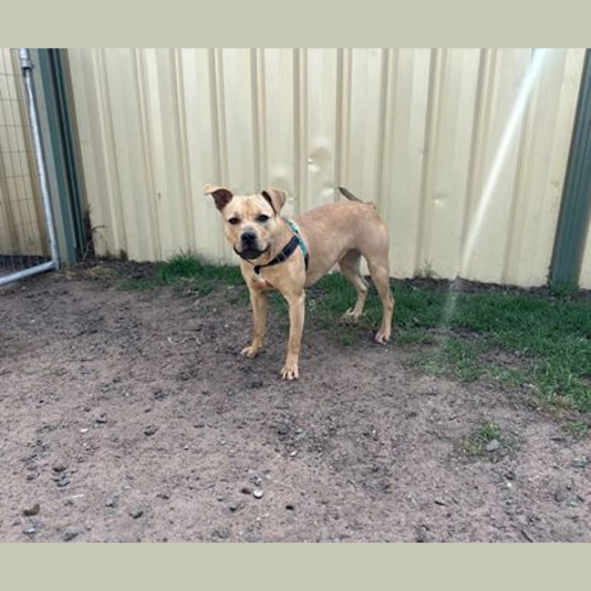 Photo of Calypso