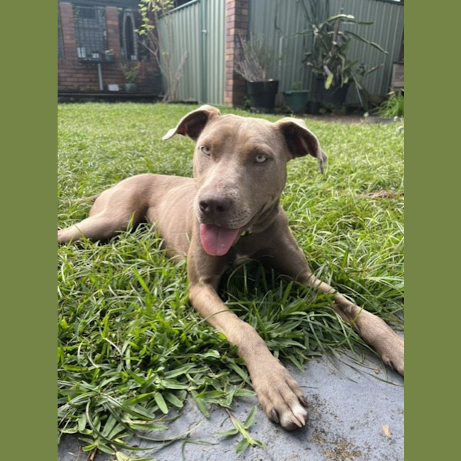 Photo of Pip