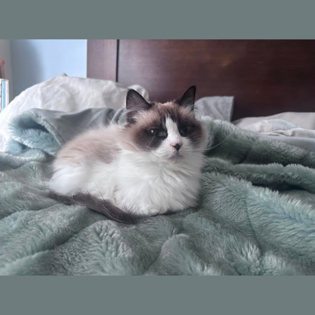 Photo of Clara 