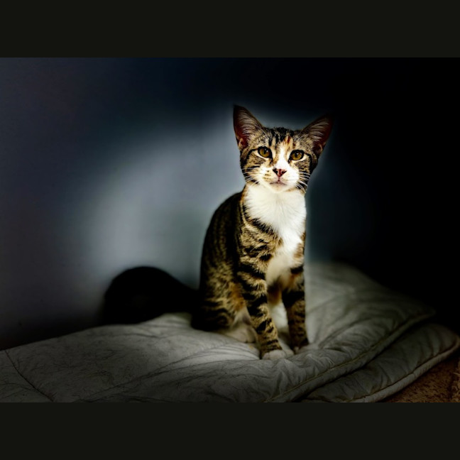 Photo of Gretel