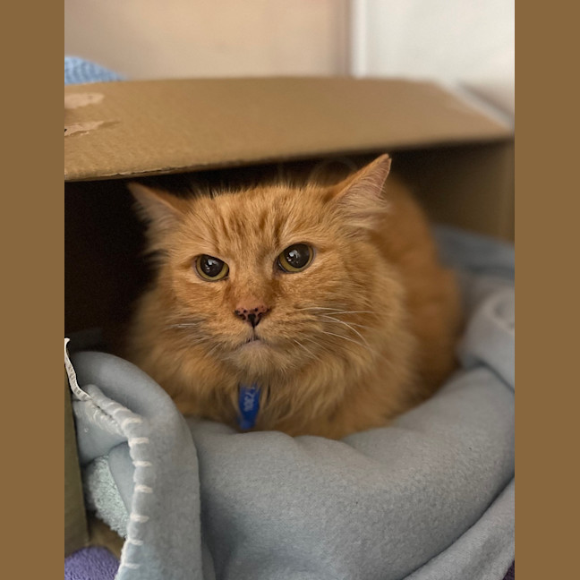 Photo of Roary