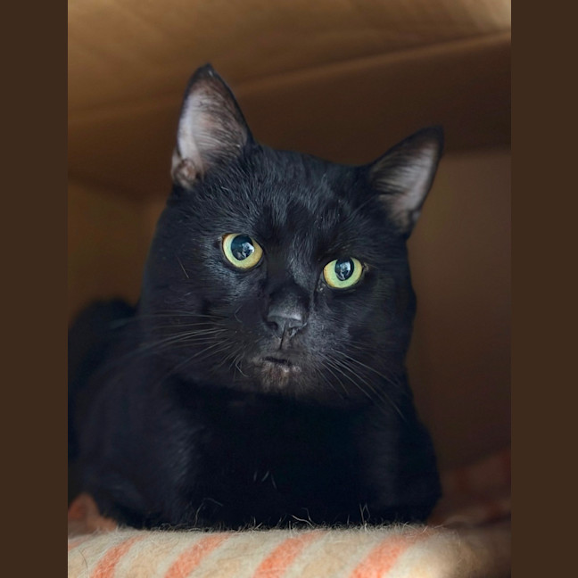 Photo of Mister
