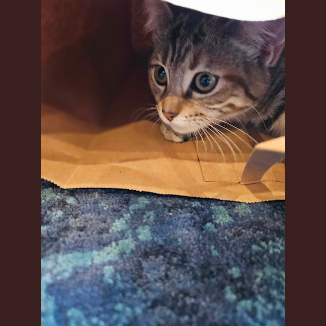 Photo of Shirley