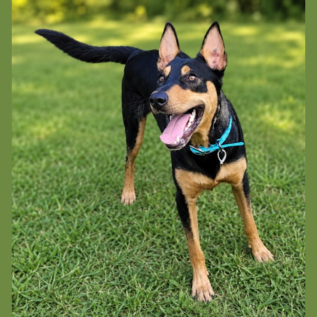 Photo of Charlie