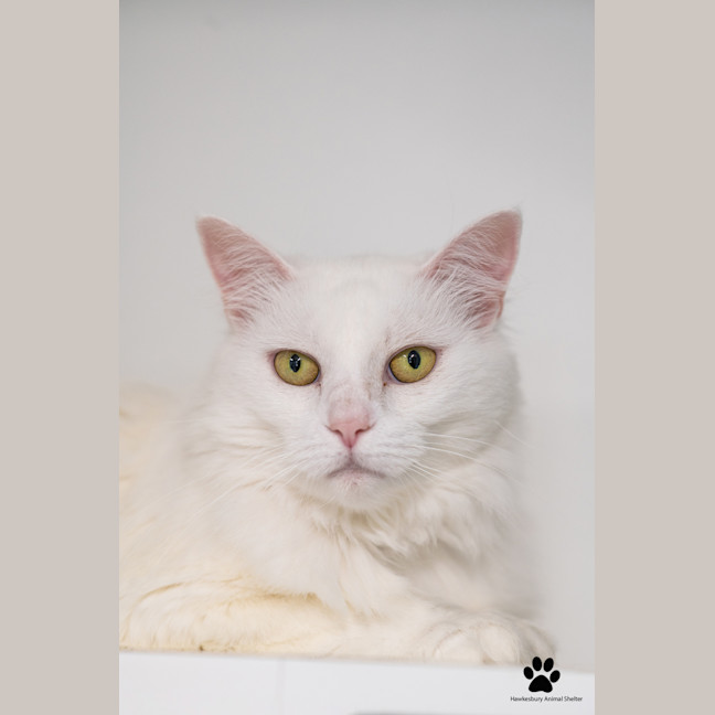 Photo of Maggie