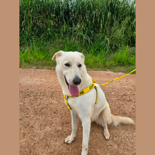 Photo of Freyja