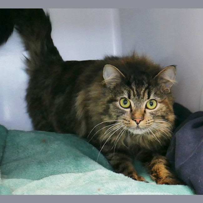 Photo of Gemma Sta012817