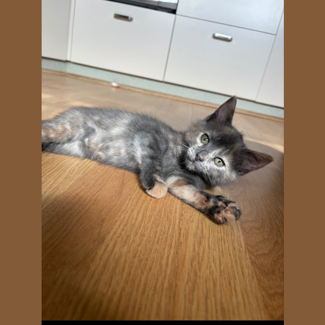 Photo of Kuromi