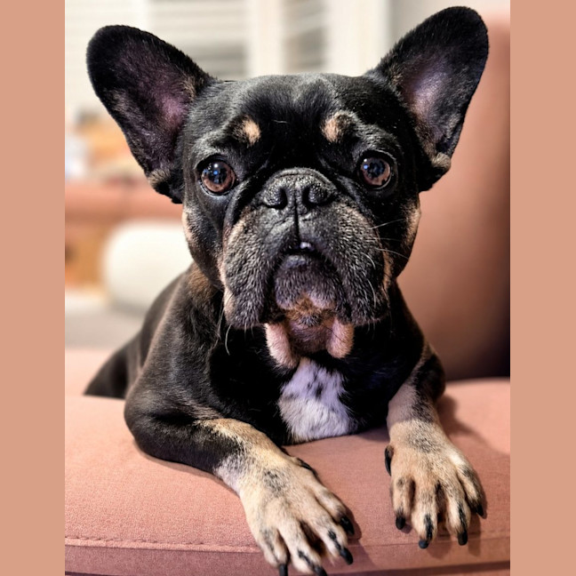 Photo of Winnie