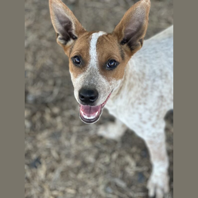 Photo of Cash