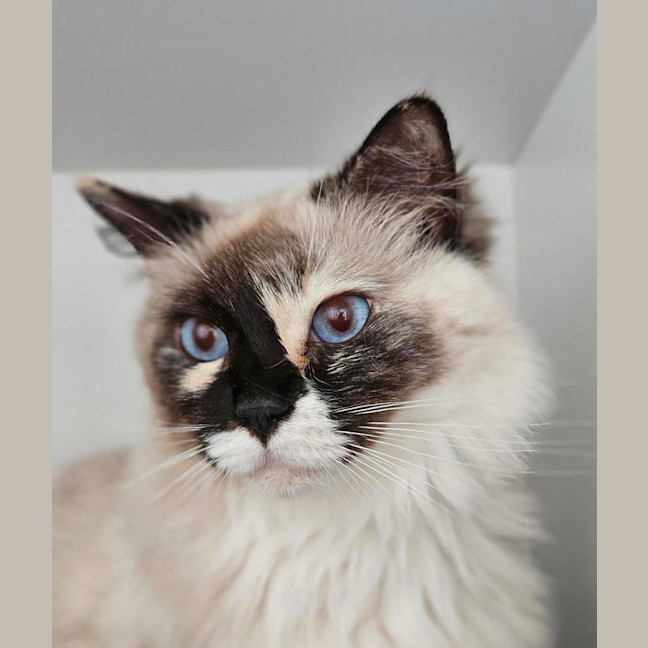 Photo of Lily