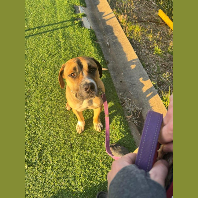 Photo of Archer Tamblyn