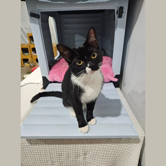 Photo of Jasmine