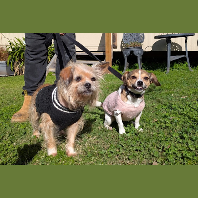 Photo of Rhonda & Minnie