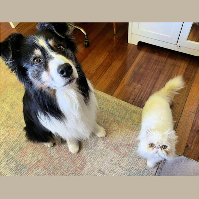 Photo of ❄Aspen❄