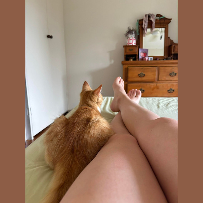 Photo of Mochi