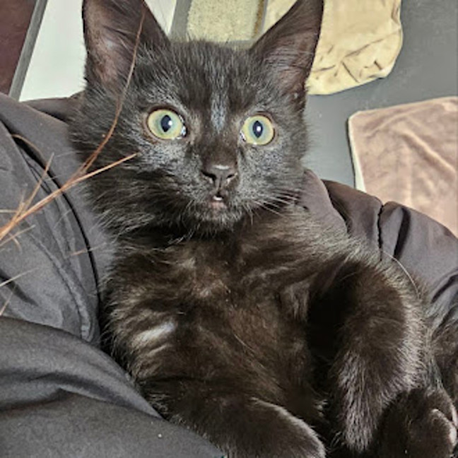 Photo of Mila