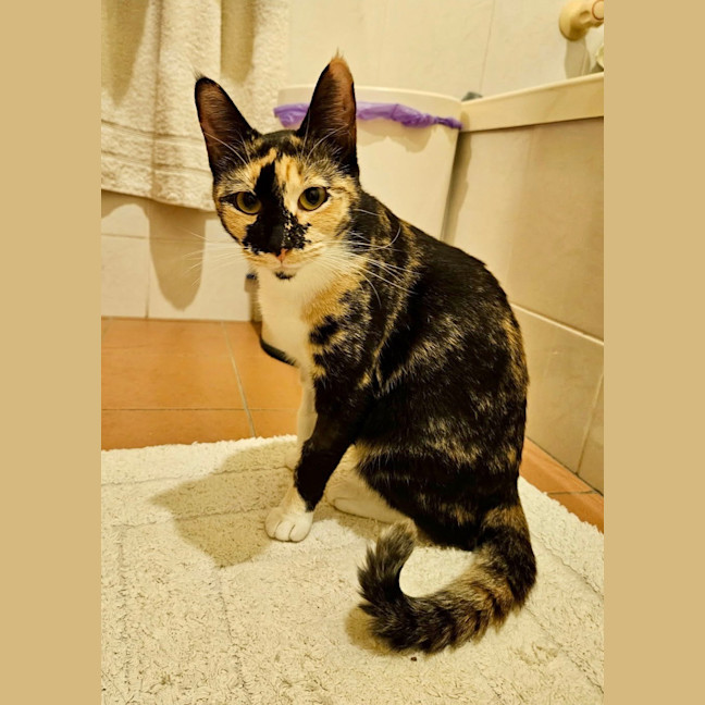 Photo of Neve Now Stevie