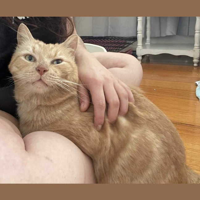 Photo of Thomas