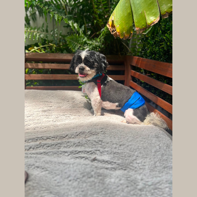 Photo of Hairy Mac Clary 