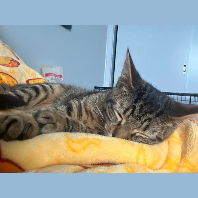 Photo of Jesse