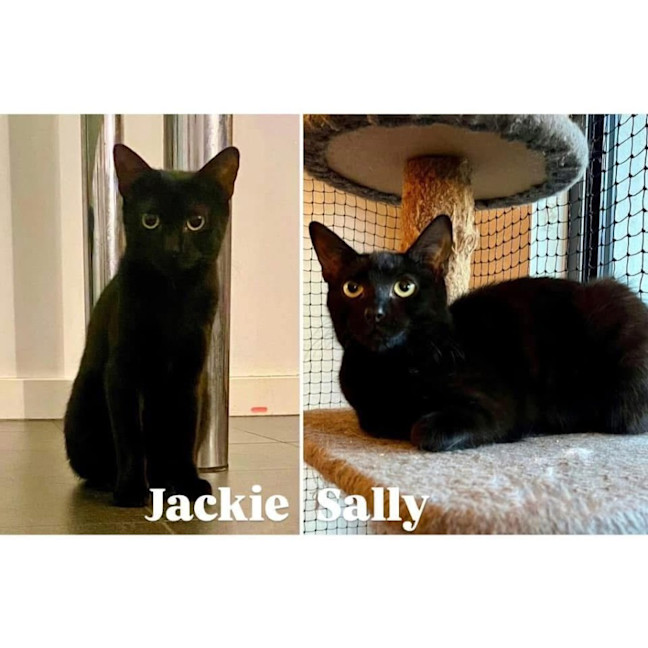 Photo of 11100/11099   Jackie & Sally