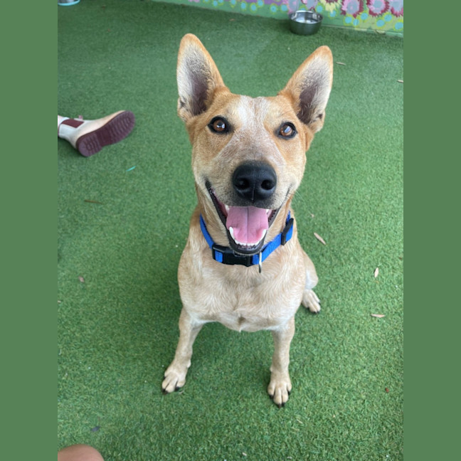 Photo of D1214 Bella