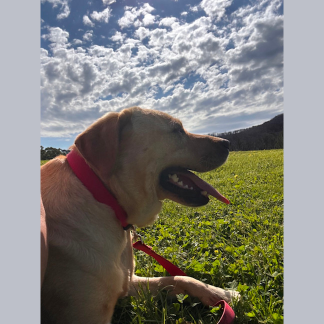 Photo of Molly 
