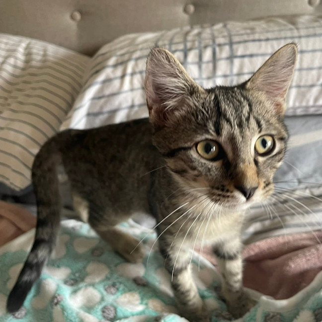 Photo of Molly