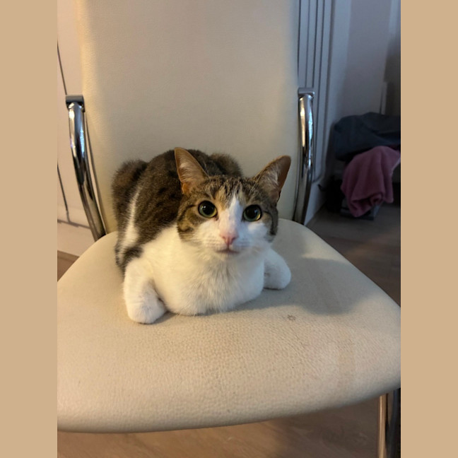 Photo of Pippy