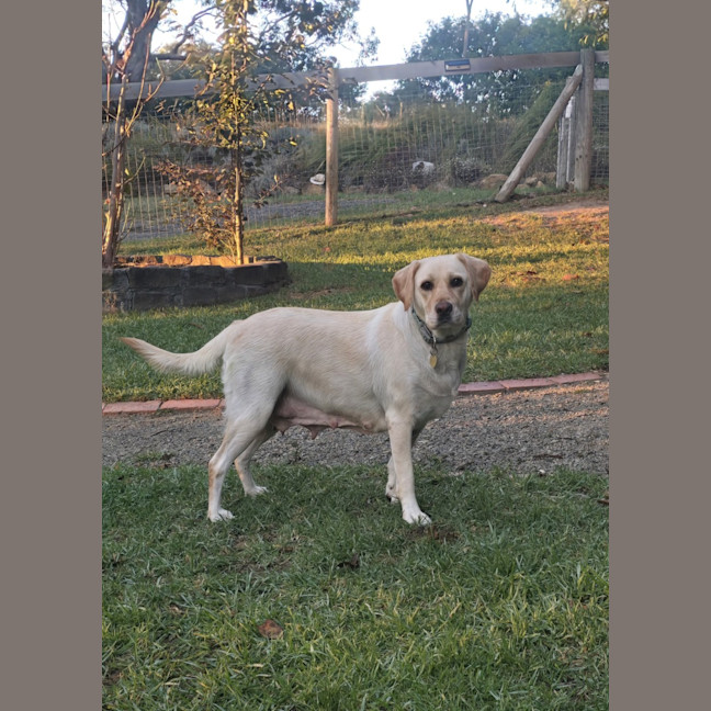 Photo of Hayleywaley