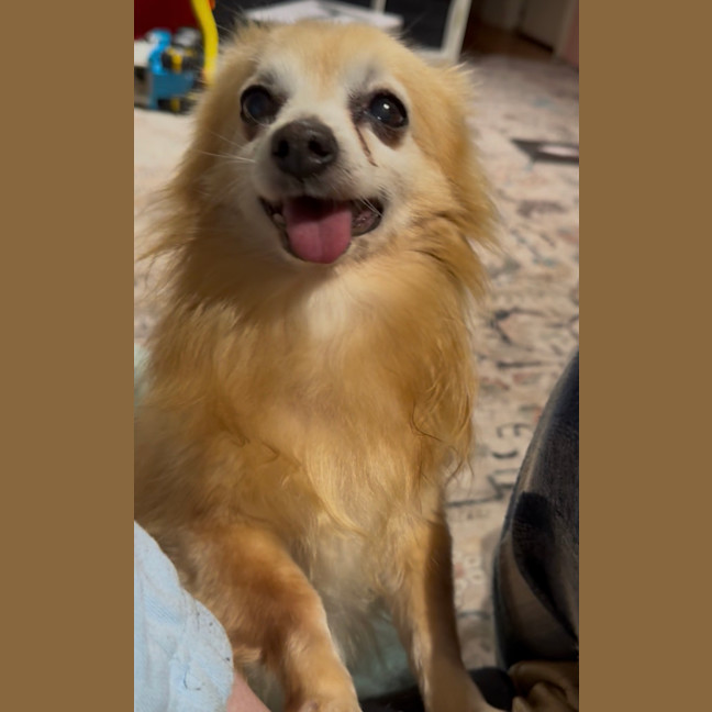 Photo of Coco