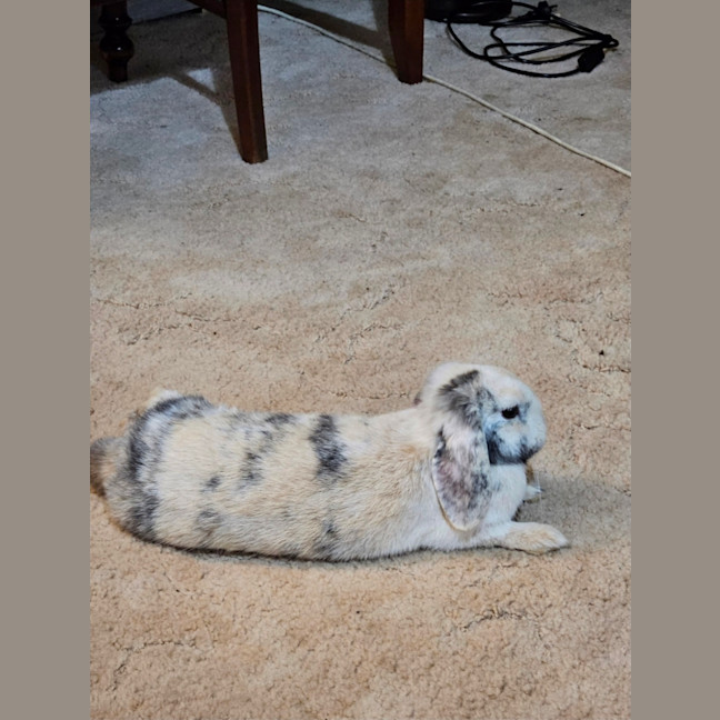 Photo of Dorothy