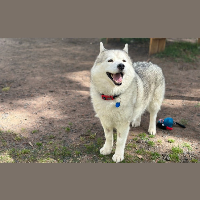 Photo of Skylar