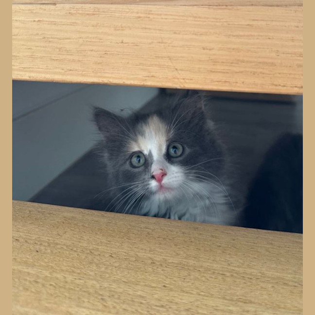 Photo of Myla