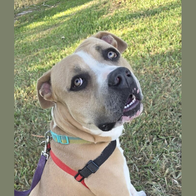 Photo of Zeus