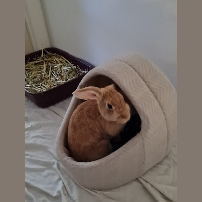 Photo of Yoghurt And Yum Cha