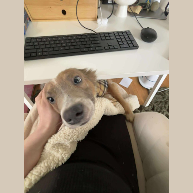 Photo of Puzzle