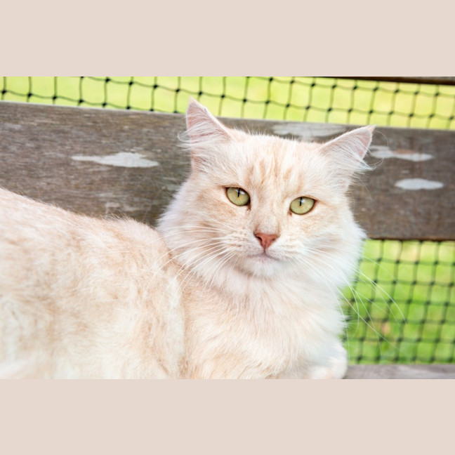 Photo of Ebony & Ivory